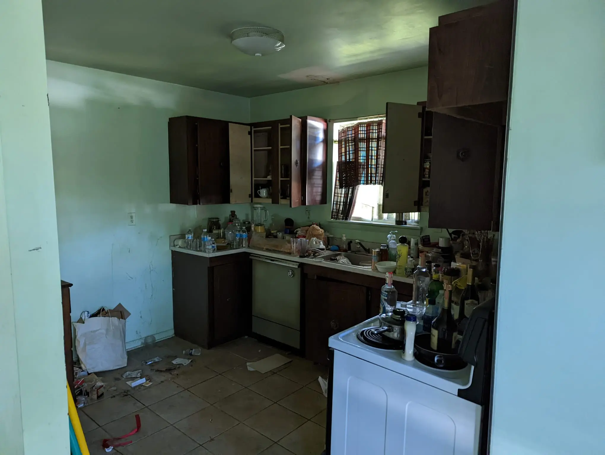 Kitchen in Silver Spring (3)