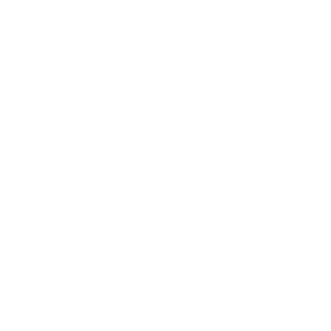 image electric icon